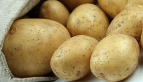 У Полтаві міськвиконком тоннами закуповує молоду картоплю, яблука та квашену капусту