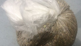 На Полтавщині поліція вилучила пакет марихуани