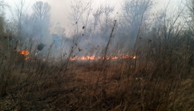 Минулої доби на Полтавщині гасили шість пожеж на відкритій місцині