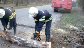 На Полтавщині вітер обірвав дроти у 12 районах, а в Полтаві повалив дерево на машину