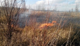 Протягом минулої доби на Полтавщині зафіксували 22 пожежі на відкритій території, у тому числі - на цвинтарі