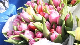 Ціни на квіти напередодні 8 березня у Полтаві стрімко полізли вгору. ФОТО