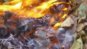 На Полтавщині під час спалювання сміття загинув дідусь