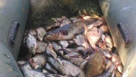 Рибалка-браконьєр завдав збитків державі майже на 11 тисяч