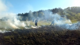 Пожежа під Полтавою: вогонь знищив три гектари трави та сухостою