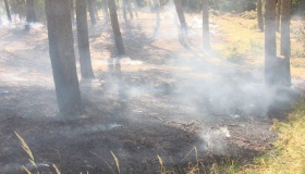 Дві пожежі сталися на відкритих територіях Полтавщини