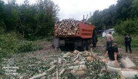 У Полтаві затримали викрадачів лісу