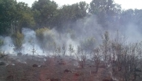 Під Полтавою 13 пожежних гасили три гектари палаючої трави