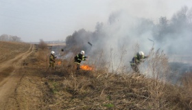 На Полтавщині сталися пожежі на відкритій території та в лісі