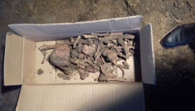 Жахлива знахідка: на Полтавщині підприємство було збудовано на кістках