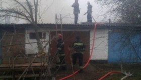 У Миргороді разом із сараєм згоріло три десятка курей