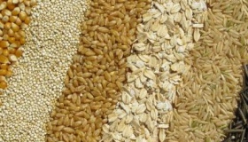 На Полтавщині збитки від оборудок із зерном  склали понад 200 мільйонів гривень