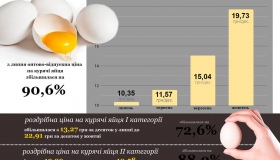 Курячі яйця подорожчають на 10-15% до кінця року
