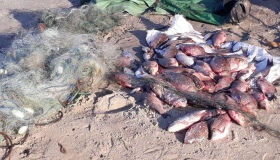 На Полтавщині затримали рибного бракон'єра