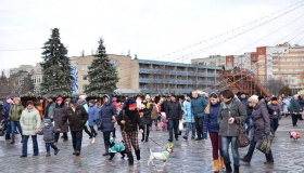 У Кременчуці пройшов новорічний костюмований парад собак. ФОТО