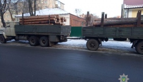 Патрульні затримали вантажівку з деревиною без документів