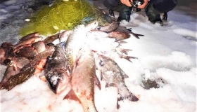 Кременчуцький браконьєр двома сітками наловив 36 кг риби