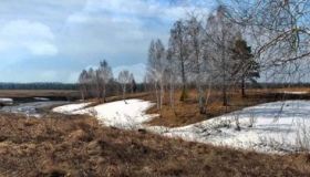 "Полтавський лісгосп" засадить  ліс на площі 150 гектарів