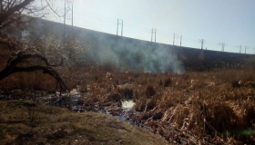 За добу полтавські рятувальники ліквідували 8 пожеж на відкритій території
