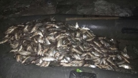 Рибпатруль вилучив 300 кг незаконно виловленої риби