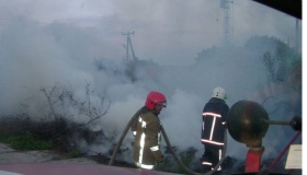 П'ять пожеж трапилися на відкритій території Полтавщини