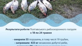 Полтавський рибоохоронний патруль викрив 55 порушень нерестової заборони
