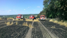 Вогонь на Полтавщині знищив понад 40 гектарів пшениці