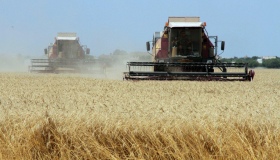На Полтавщині зібрали 560 тисяч тонн ранніх зернових