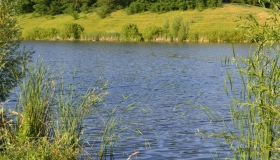 У ставку на Полтавщині загинув 15-річний хлопець