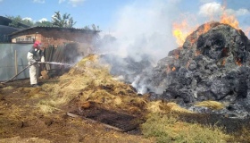 Пожежа на Полтавщині знищила 8 тонн сіна та 7 - соломи