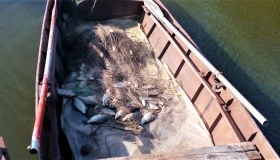 За добу рибоохоронний патруль вилучив у браконьєрів понад сто кілограмів риби