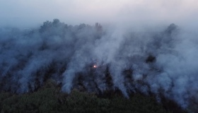 Півсотні рятувальників гасять пожежу у Бондарях