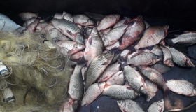 У Сулинській затоці рибінспектори виявили за дві тижні вісім порушень