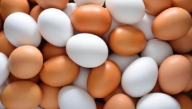 На Полтавщині продаються дешеві яйця