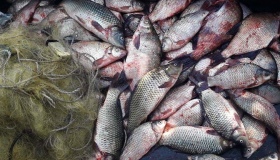 За минулі вихідні рибоохоронний патруль викрив 30 порушень правил рибальства