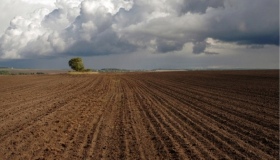 На Зіньківщині 10 гектарів землі повернули у держвласність