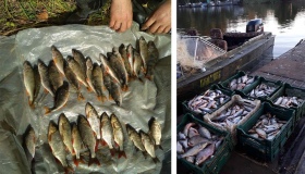 За першу половину жовтня рибпатруль нарахував збитків майже на сорок тисяч