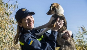 Полтавські рятувальники взяли шефство над безпритульними тваринами. ФОТО