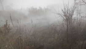 На Полтавщині загорілися поверхневі поклади торфу