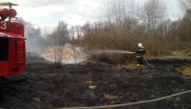 Полтавські рятувальники гасили пожежі на відкритих територіях