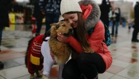 На Полтавщині пройшов парад собак "Новорічний Хатіко"