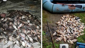 Минулого року браконьєри завдали збитків рибгоспу області на понад мільйон гривень