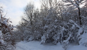 На Полтавщині зафіксували рекордну висоту снігового покриву –  до 55 см