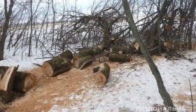 На Миргородщині поліцейські  зловили нелегальних лісорубів
