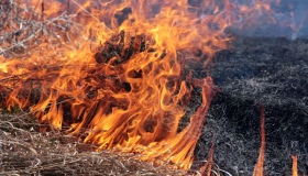 На Хорольщині при спалюванні сухої рослинності загинув чоловік