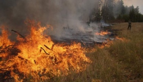 На Полтавщині зросла кількість пожеж на відкритій території