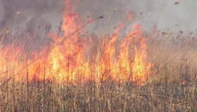 На Пирятинщині вигоріло 22 гектари очерету та сухостою