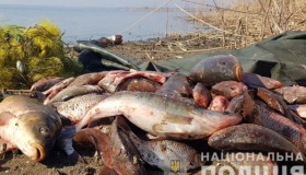 На Полтавщині викрили двох рибних браконьєрів