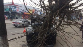 У Лубнах дерево зупинило водія на BMW. ФОТО