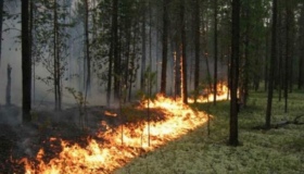 Полтавців попередили про надзвичайну пожежну небезпеку